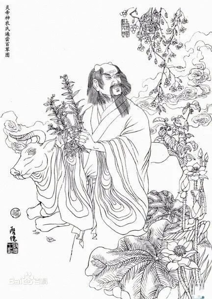 "一日遇七十毒而无恙"的神农,为啥栽在了断肠草上?