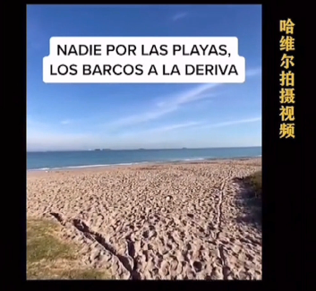 海外网络灵异事件哈维尔2027到底是真假平行空间还是背后团队