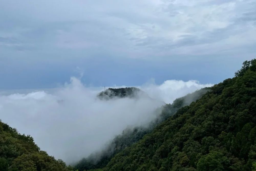 是变幻多姿的,总是在不经意间带来惊喜,远观雄伟壮丽,山间云雾缥缈,似