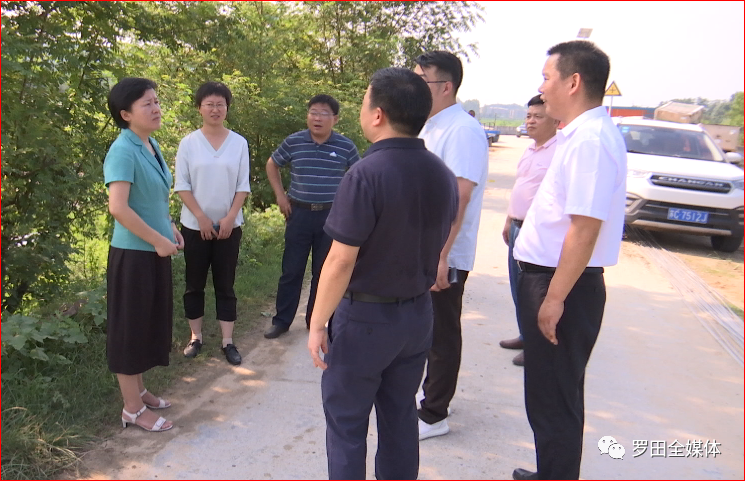 罗田县委书记,县长郝爱芳到骆驼坳镇检查督办农光互补项目建设