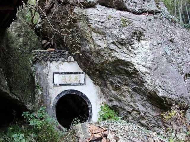 安徽人游安徽丨不出芜湖的"避暑指南"