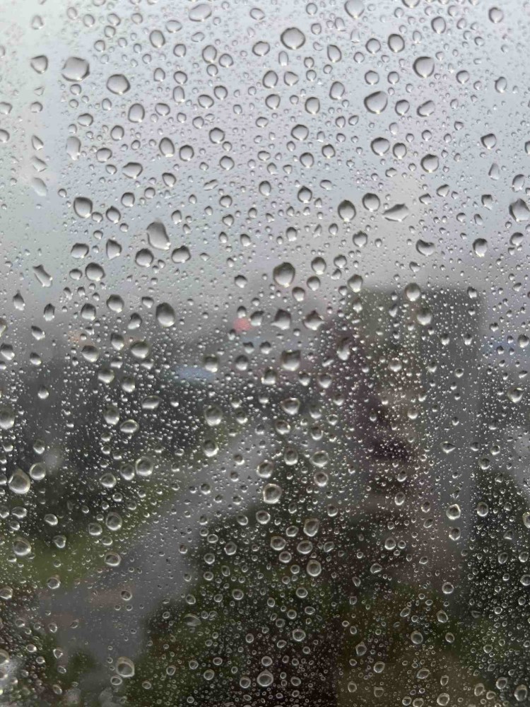 热了一天的郑州终于下了,天雷滚滚,瓢泼大雨