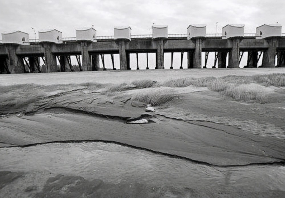 1954年长江在泰兴段断流2个小时最后查明是什么原因吗