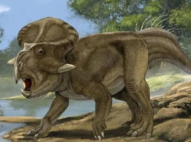 大和吃的是太阳角龙果实人兽形态是人龙族