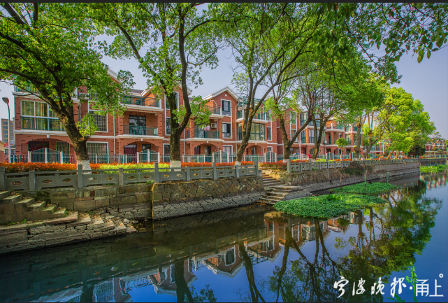 城乡共融,擦亮共同富裕底色|鄞州区|姜山镇|宁波|都市