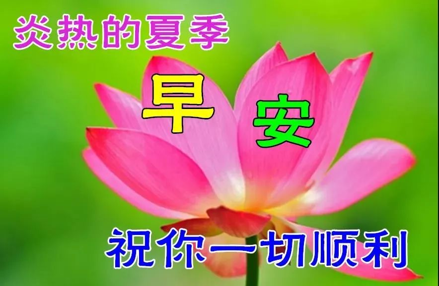 7月26日最漂亮早上好动态表情图片大全,三伏天早晨好动图美图大全