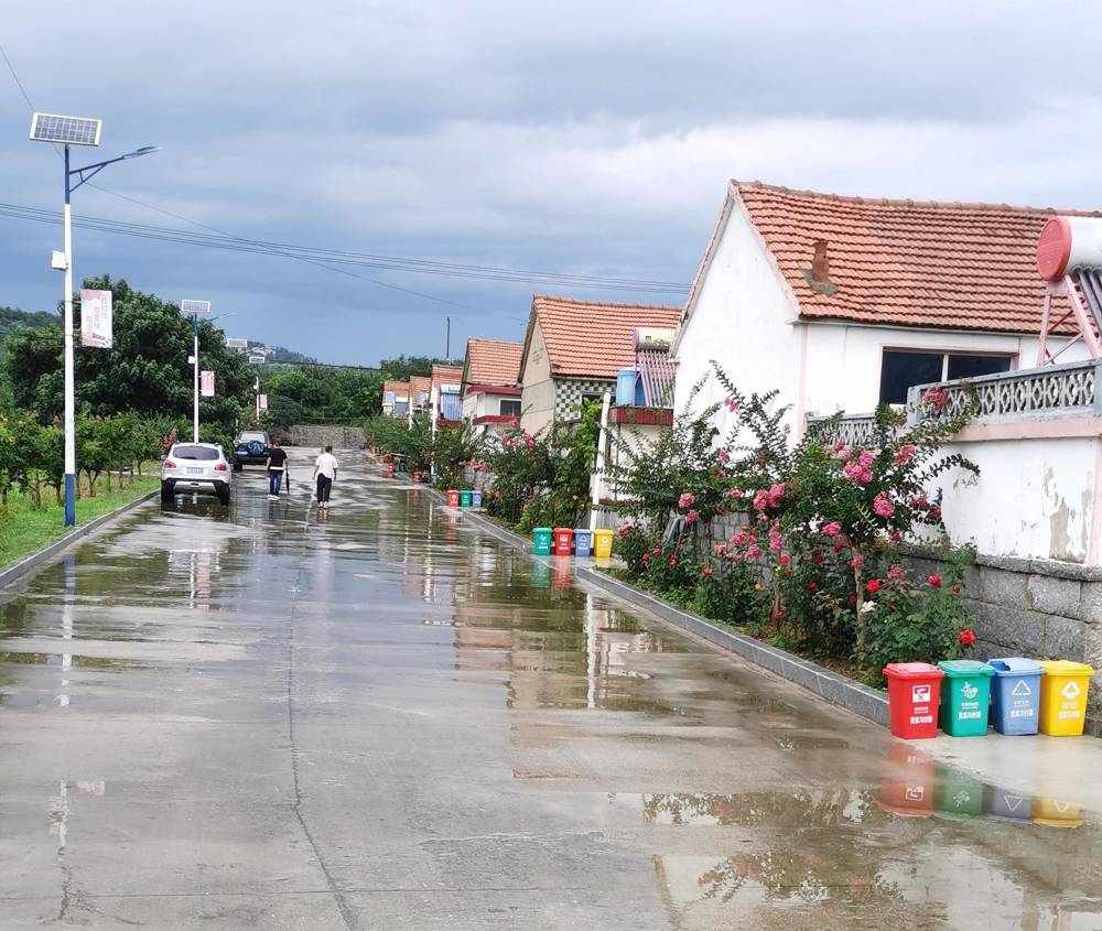 烟台日报栖霞市桃村镇贾家沟村党旗高高飘扬山村蒸蒸日上