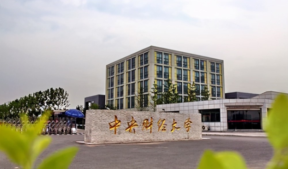 中央财经大学是一所由北京市,财政部和教育部共建的211高校.