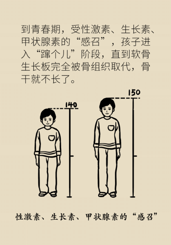 想要孩子长高个,专家给你来支招!_腾讯新闻