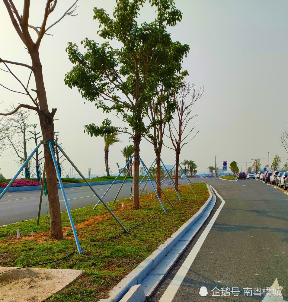 广东江门g240国道连通工程,双向6车道一级公路,主线全长1160米