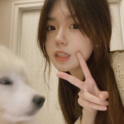 茶茶头像小姐姐好像更喜欢这样的头像像