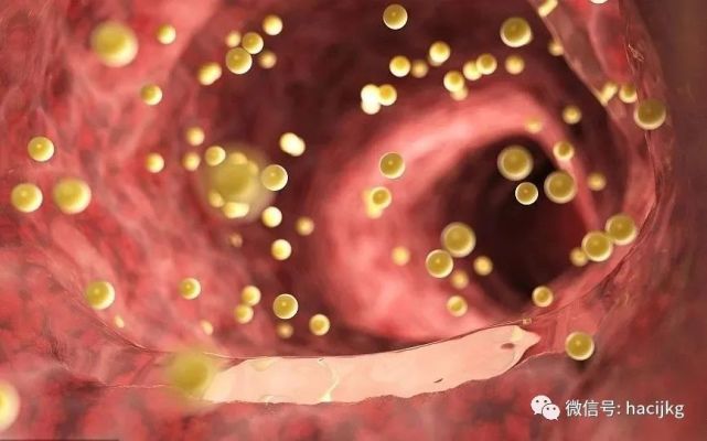 军医大学研究生有军籍吗_军医大学对眼睛视力有什么要求_第二军医大