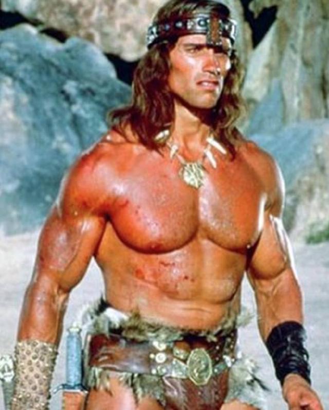 好莱坞硬汉排行_五位好莱坞硬汉排行,道恩·强森上榜,而他众望所归位居第一