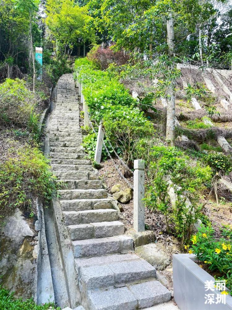 ̨ɽľ_̨ɽξ_ƽ̨ɽȫ