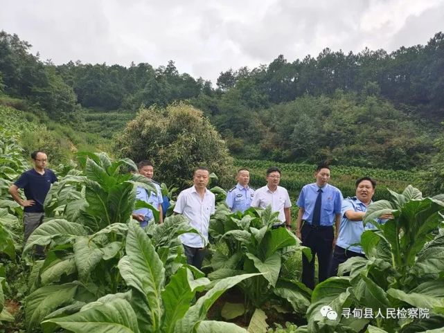 检察长办案深入案发现场实地走访核查关键证据