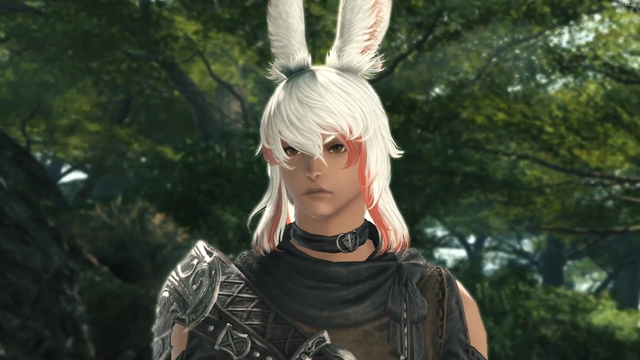 ff1460电脑跑分客户端发布新增新种族男性维埃拉过场