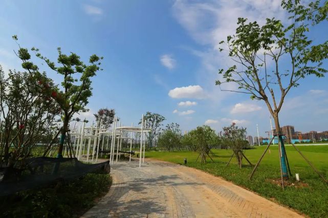 流水台地,阴阳太极,洪山白沙洲江滩示范段将开放!