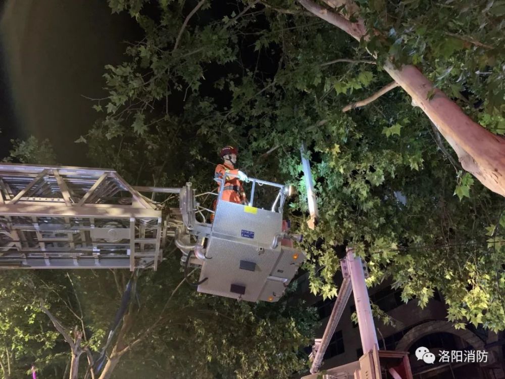 彩钢板排行_经开区大队稳步推进彩钢板专项整治工作走深走实