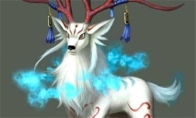 641