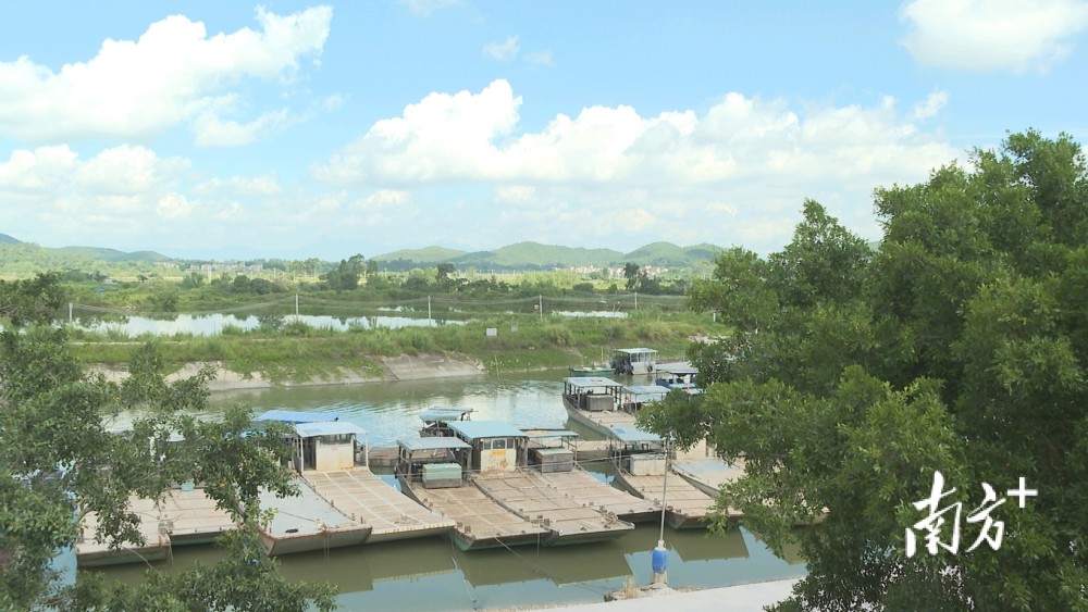 珠海市乡村振兴驻镇帮镇扶村工作队正式进驻阳西县程村镇