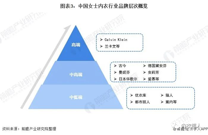 女式内衣_2021-2026年中国女士内衣行业市场前瞻与投资战略规划分析报告(2)