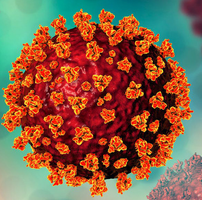 美国cdcdelta变种病毒已占美国新病例的58