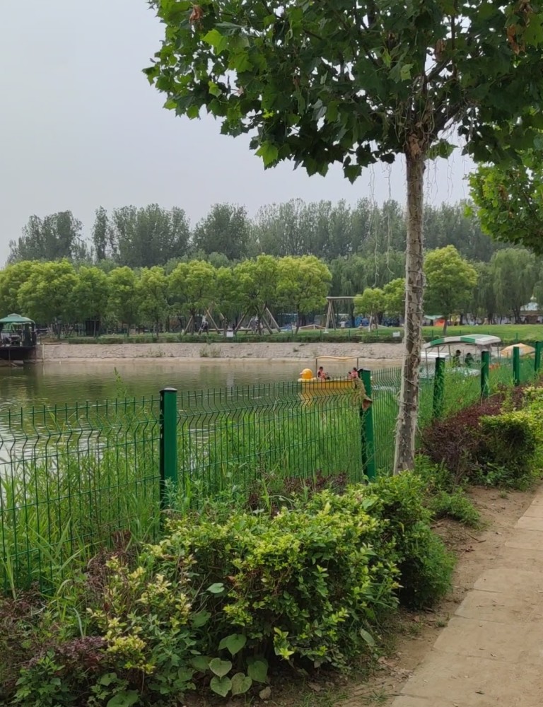 兔森林一日游,两家人周日跑了趟兔森林,位置就在沙