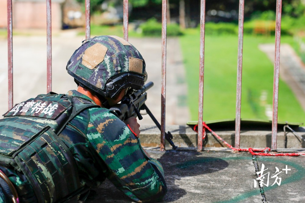 武警特战夏季图片