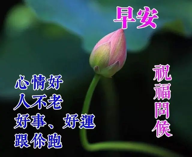早上好新版早安祝福语短句微信早安问候表情文字图片