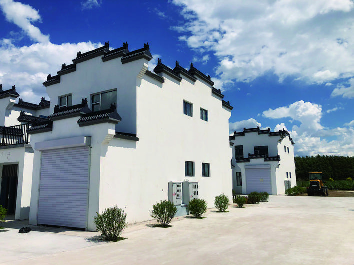 开安镇:沿着景观带一路看风景