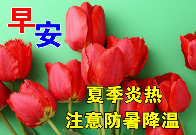 7月21日 早上好 又是美好的一天 祝福送给你 调节好心情 烦恼全丢弃 早安 正能量励志语录大全