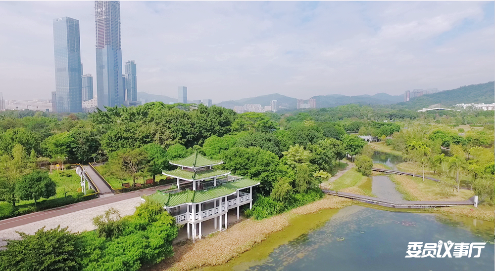 福田区政协委员王小颖让环中心公园活力圈自带活力创造