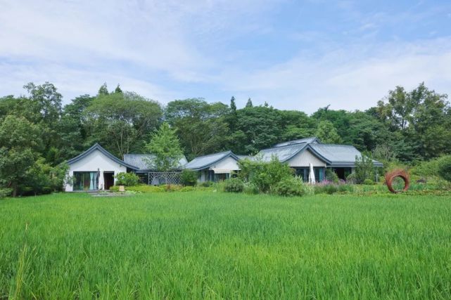 温江区每周一推依田桃源跟随本心去过向往的生活