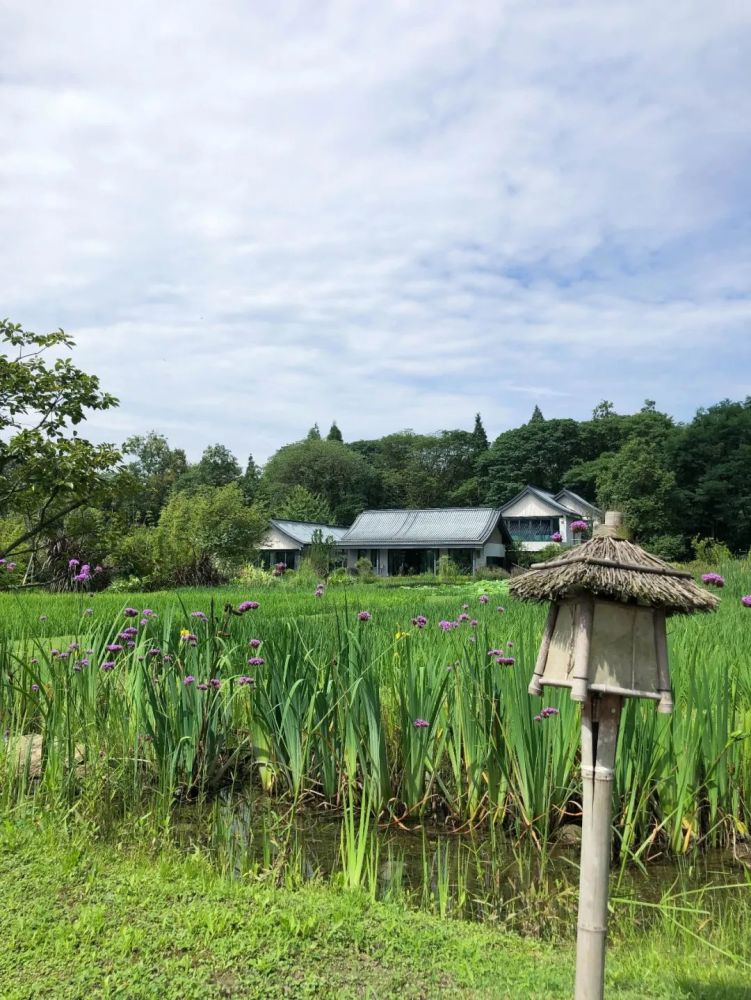 温江区每周一推|依田桃源—跟随本心,去过向往的生活_腾讯新闻