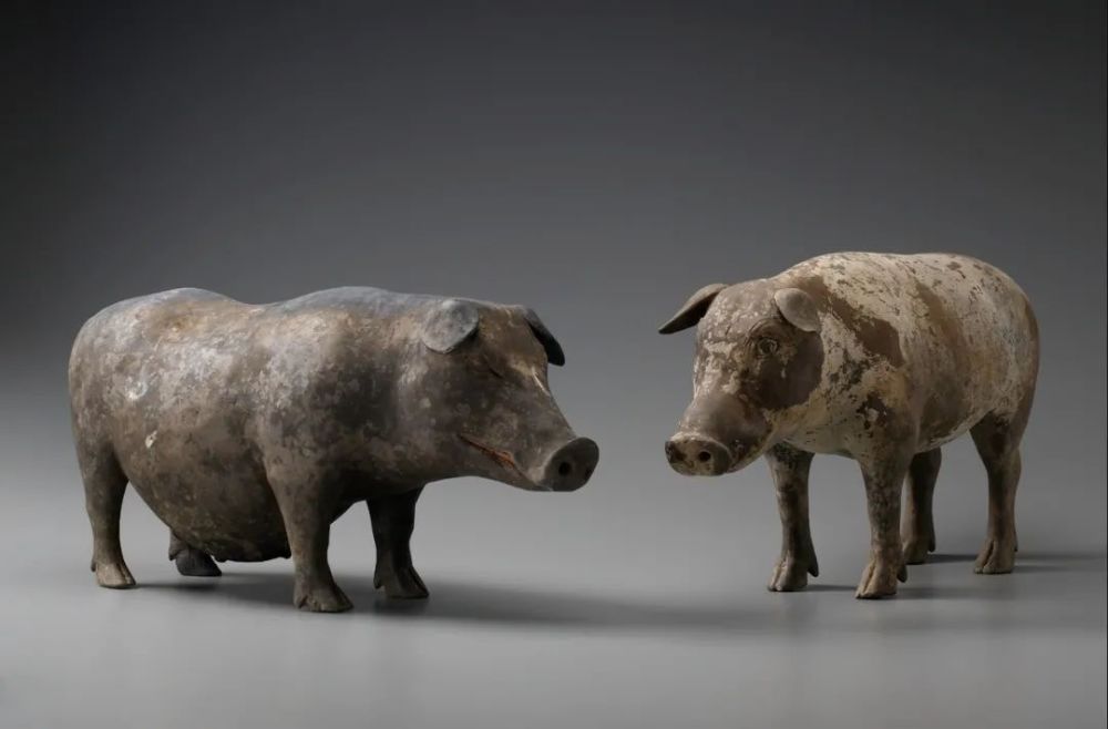 聊聊被封杀的大象公会