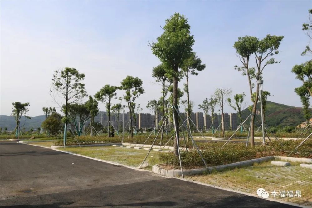 铁锵新区首座生态停车场上线