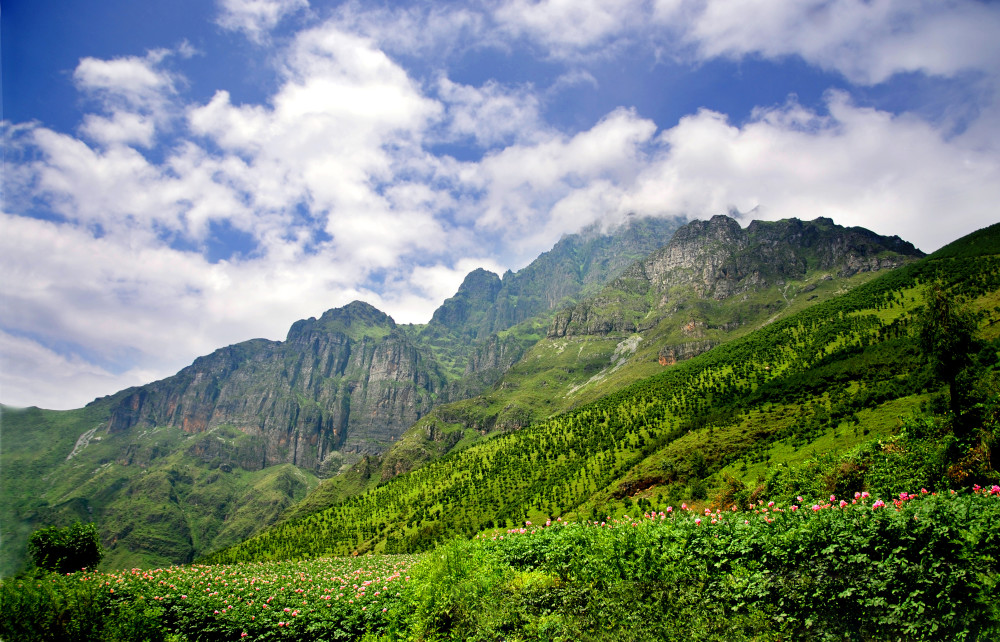 云游系列报道9东川李子沟从种开花洋芋到打造特色旅游