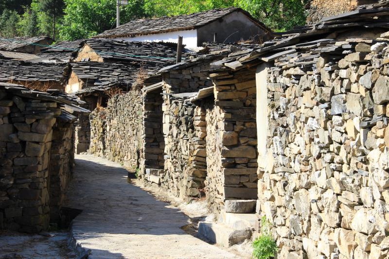 云游系列报道9东川李子沟从种开花洋芋到打造特色旅游