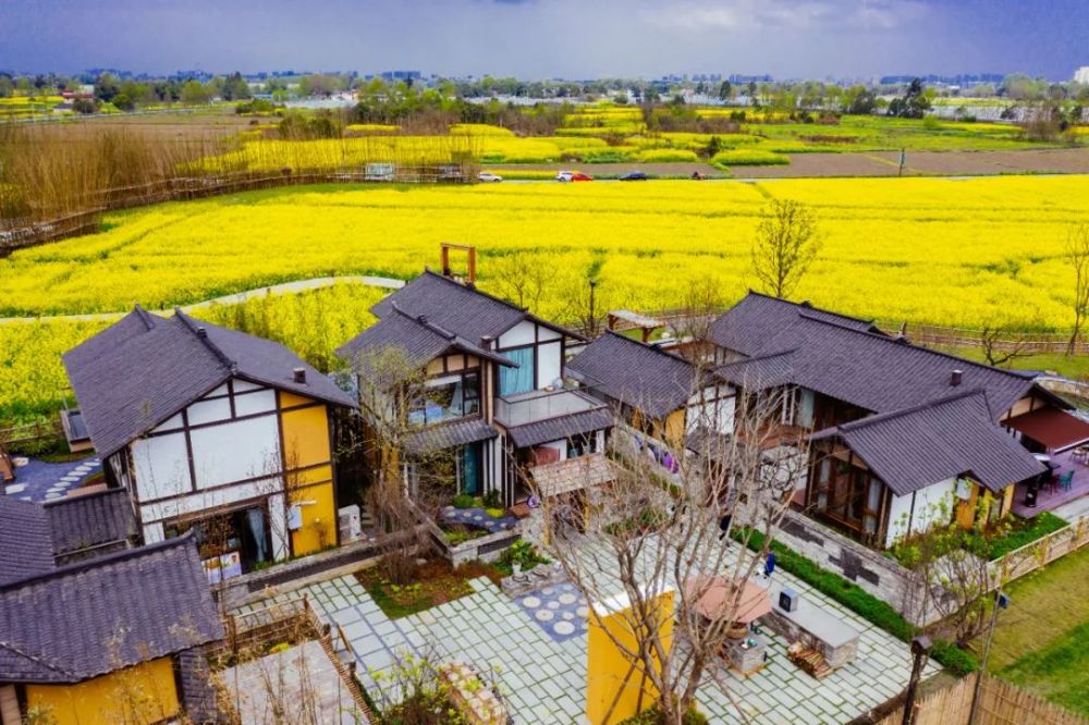 稻乡渔歌民宿群落文章来源:微信公众号:产业成都