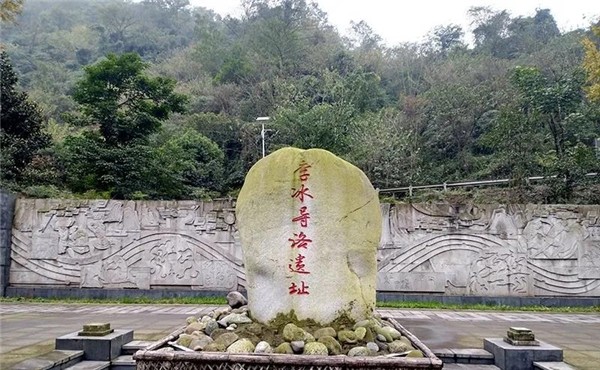 位於什邡市師古鎮紅豆村,因村裡一棵紅豆樹得名,樹高36米,狀如巨傘