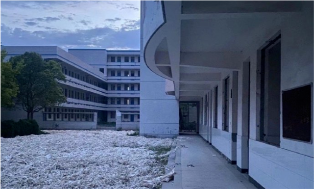 网友爆料大丰老南阳中学存安全隐患望大丰相关部门核实处理