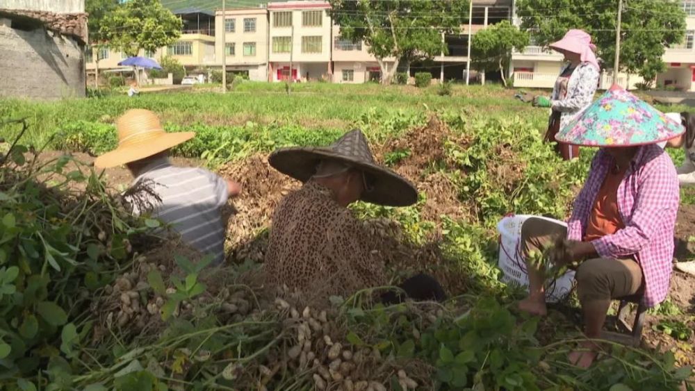 东石GDP_晋江东石:打造滨海宜居新城全力建设晋西南“新门户”