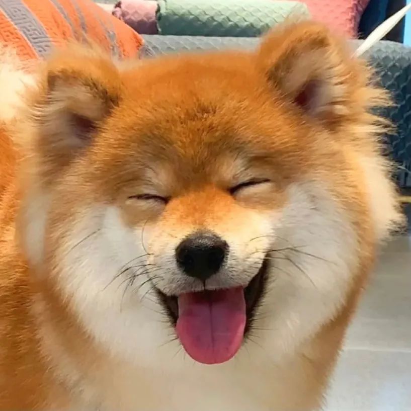 今日份的狗子治愈微笑,不由自主跟着笑了起来!