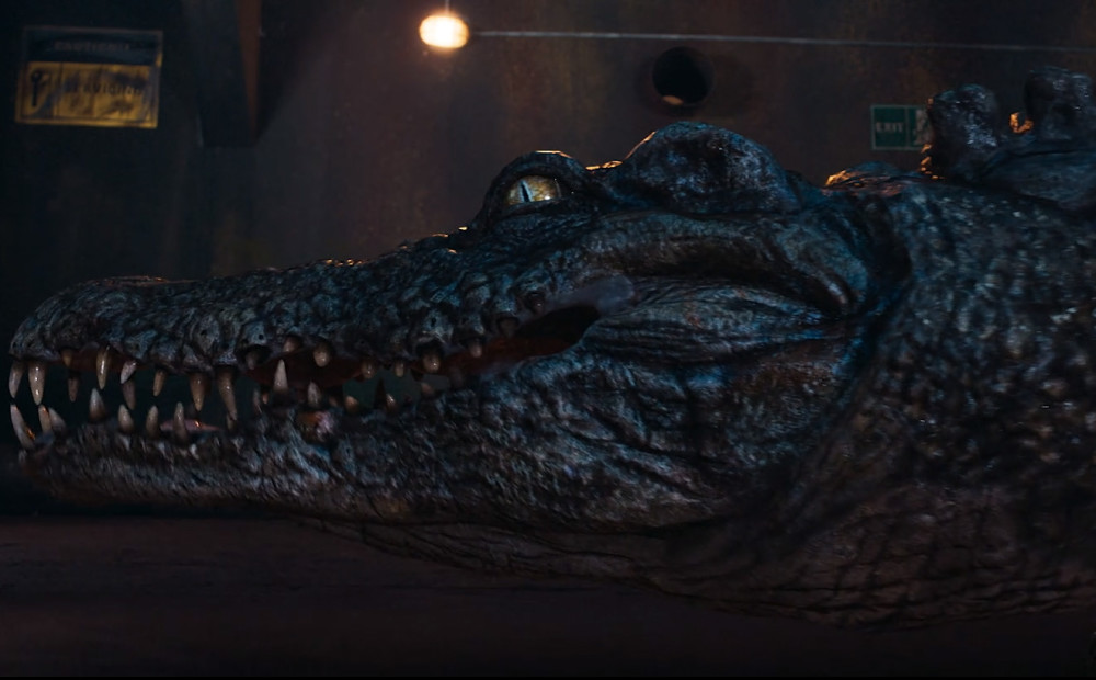 狂鳄海啸首播惊艳3大看点过分优秀难得的爆款灾难片