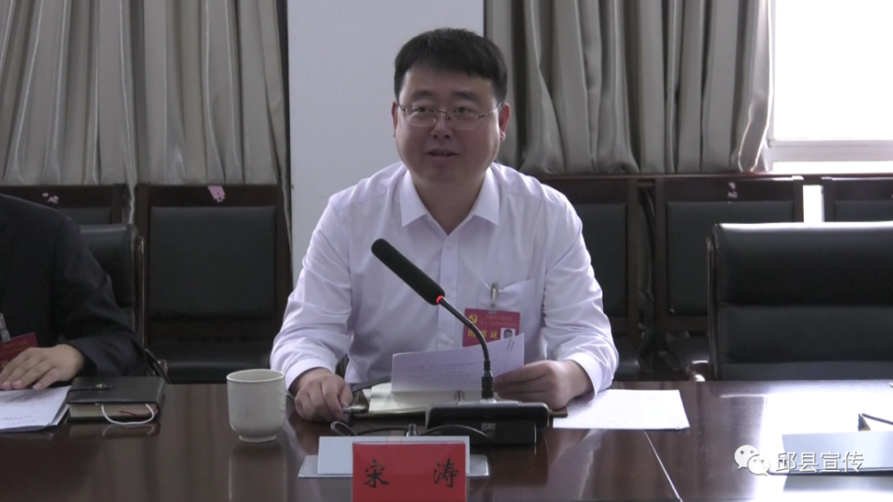 宋涛参加新马头镇代表团的讨论