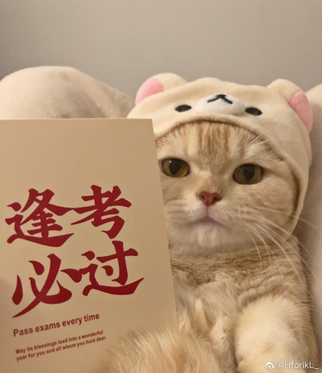 可爱女头:人总是拖拖拉拉,爱讲反话,带着答案问问