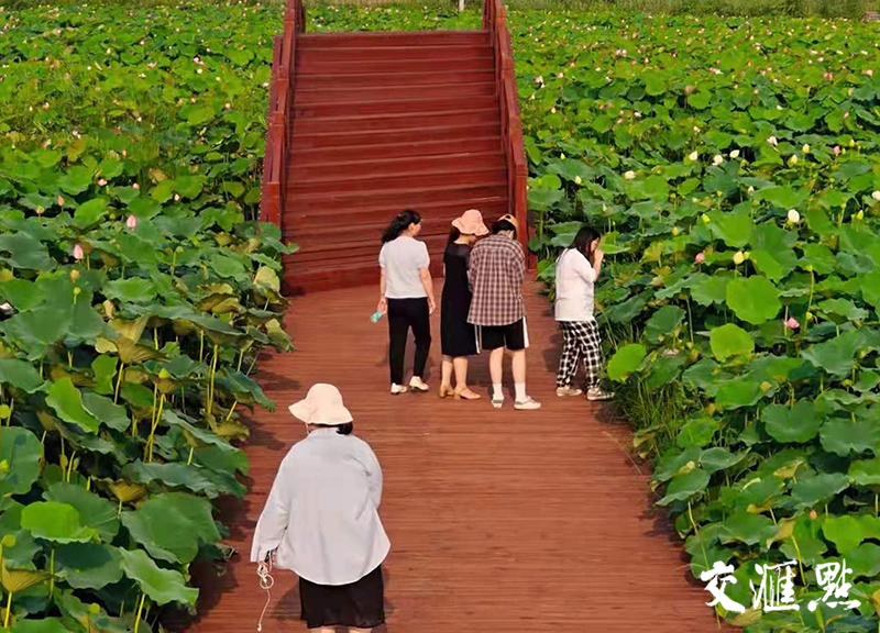 阜宁县益林镇:学史力行 提升群众幸福感_腾讯新闻