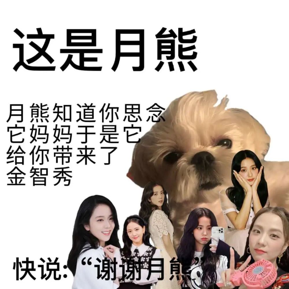 jisoo的月熊生日图片