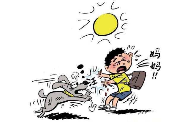 遛狗不栓绳长沙一小孩被烈性犬咬伤主人我家狗从不咬人
