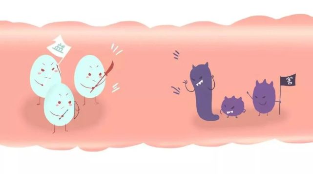 要谨防这个病|肠道传染病|副伤寒|感染性腹泻|细菌性痢疾